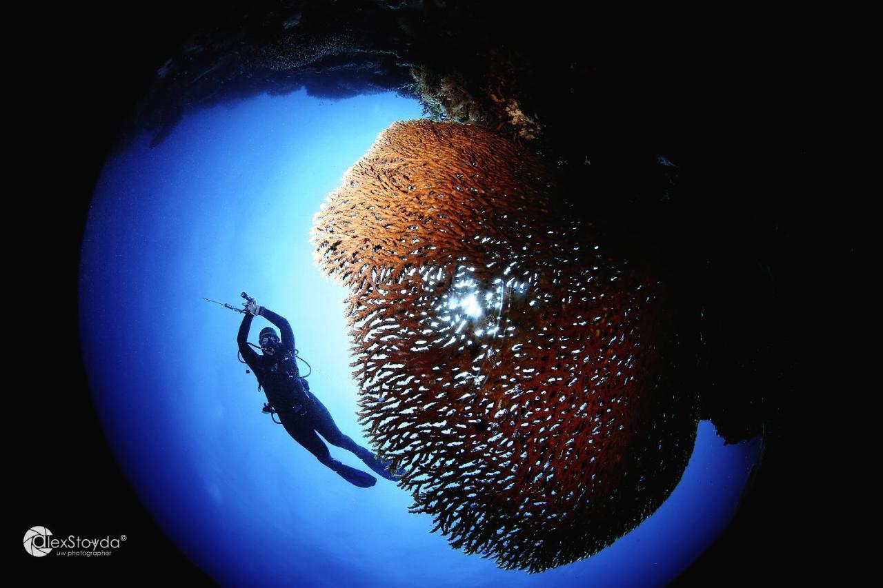 Mahi Mahi Dive Resort Zamboanguita  Exteriér fotografie